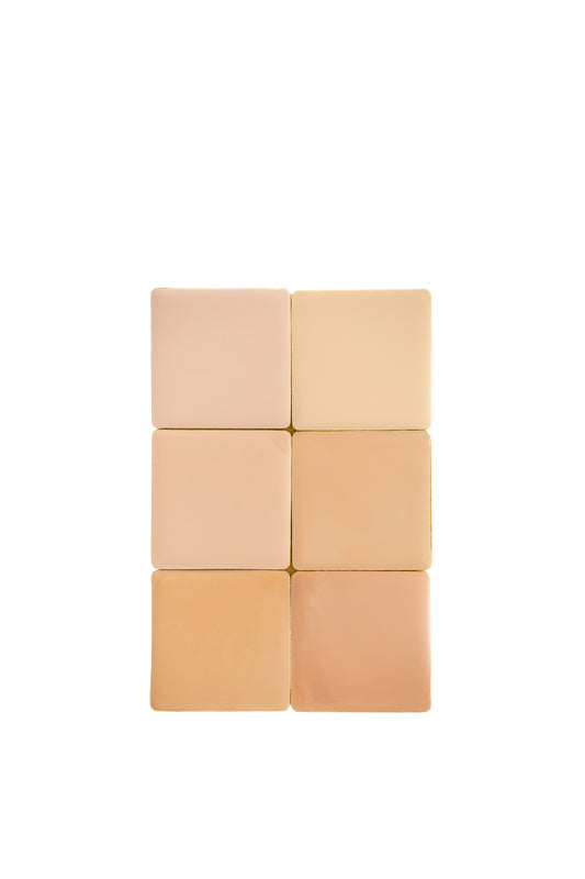 skin | tint bundle (business edit)